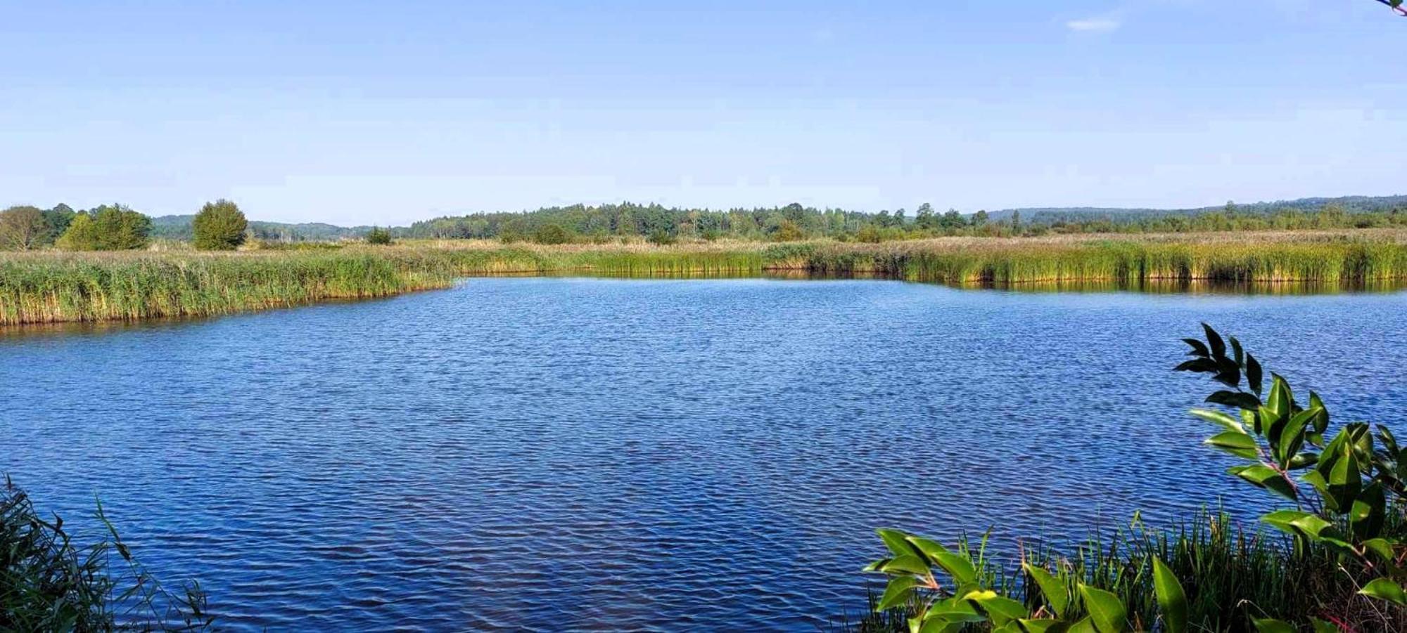 Maja Pokoje Z Widokiem Kameralna Agroturystyka Na Pogorzu Izerskim Z Sauna I Jacuzzi (Adults Only) Mirsk Exterior photo
